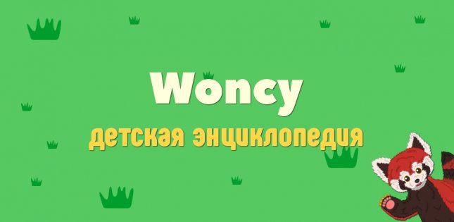 Woncy 1.2.1. Скриншот 1