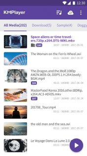 KMPlayer 45.04.230. Скриншот 2