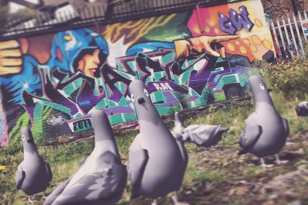 Пугайте виртуальных голубей в реальном мире с игрой Pigeon Panic