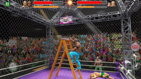 Cage Wrestling 1.0.8. Скриншот 1