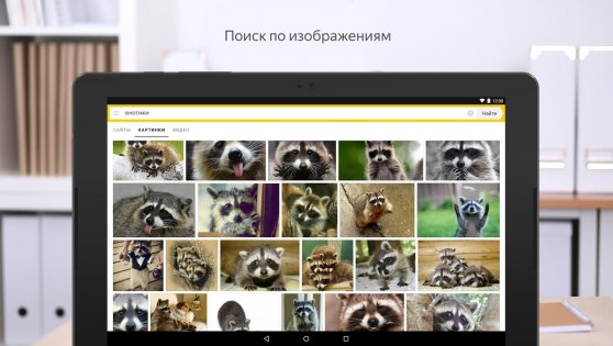 Яндекс Старт 25.41. Скриншот 21