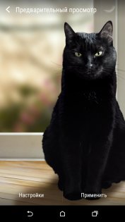 Милая чёрная кошка Живые обои 1.15. Скриншот 3