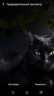 Милая чёрная кошка Живые обои 1.15. Скриншот 6