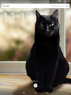 Милая чёрная кошка Живые обои 1.15. Скриншот 7