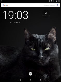 Милая чёрная кошка Живые обои 1.15. Скриншот 9