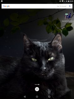 Милая чёрная кошка Живые обои 1.15. Скриншот 12