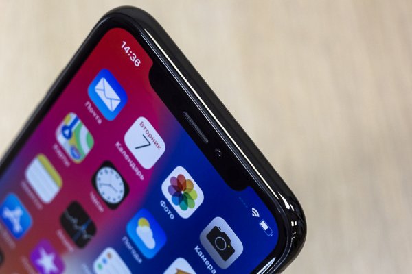 10-летний мальчик разблокировал iPhone X своей матери