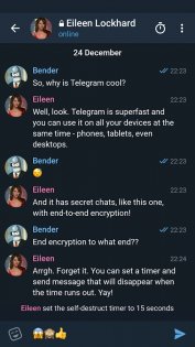 Telegram X 0.26.9.1730. Скриншот 4