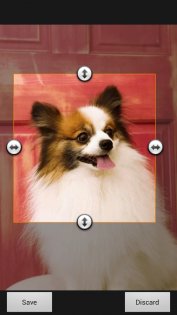 Фотогалерея 3D & HD 6.6.7. Скриншот 6