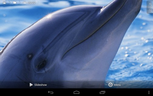 Фотогалерея 3D & HD 6.6.7. Скриншот 10