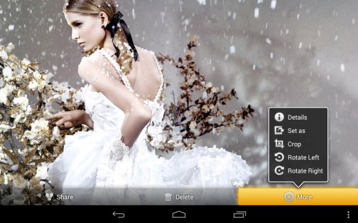Фотогалерея 3D & HD 6.6.7. Скриншот 11