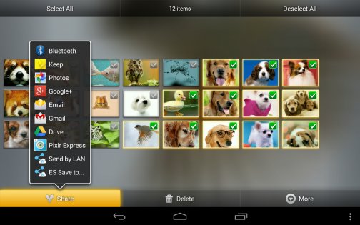Фотогалерея 3D & HD 6.6.7. Скриншот 13