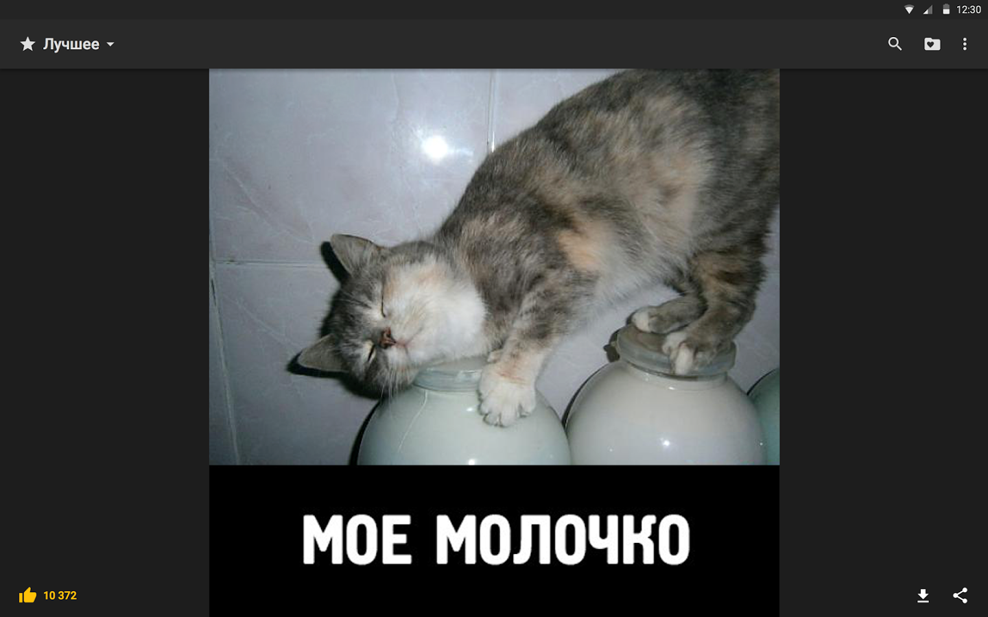 прикол фото скачать
