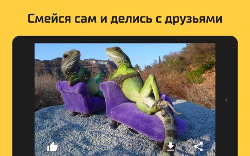 АйДаПрикол 10.15.12. Скриншот 13