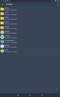 IntelliWallet 5.17. Скриншот 7