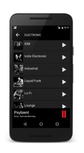 Caprice Radio 4.7. Скриншот 4