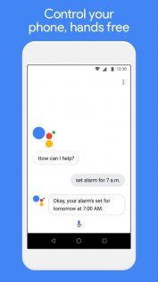 Google Assistant Go 2.15.0.521982069. Скриншот 3