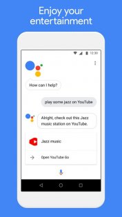 Google Assistant Go 2.15.0.521982069. Скриншот 4
