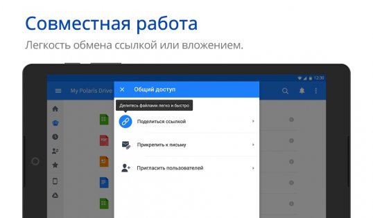 Polaris Office 9.9.0. Скриншот 25