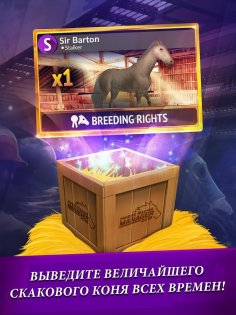 Horse Racing Manager 2025 9.1.3. Скриншот 17