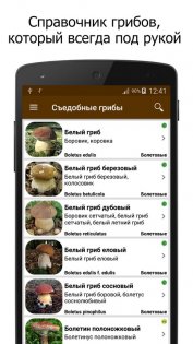 Грибы – справочник 1.4.2. Скриншот 1