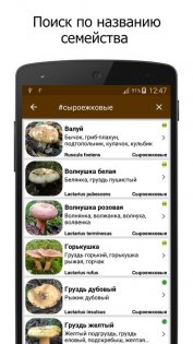 Грибы – справочник 1.4.2. Скриншот 5
