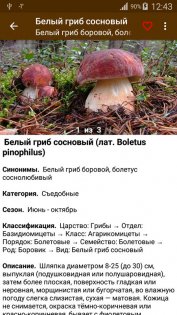 Грибы – справочник 1.4.2. Скриншот 7