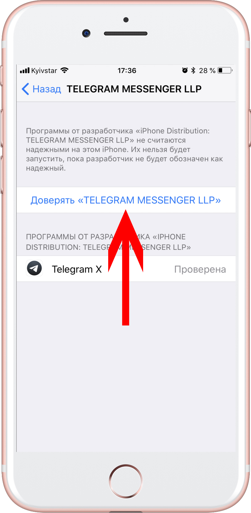 Как обойти блокировку телеграмм на айфоне канала фото 61