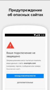 Браузер Пульс 1.6.223. Скриншот 8