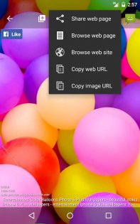 picTrove 2025.4.2. Скриншот 19