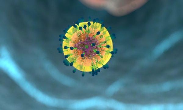 Ученые помогут Т-клеткам преодолеть заболевания иммунной системы