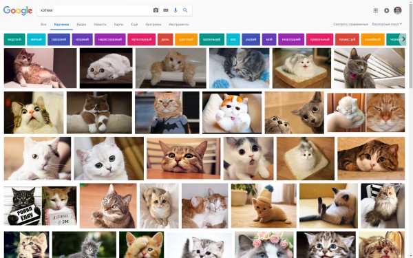 Google тестирует новый интерфейс поиска картинок на ПК