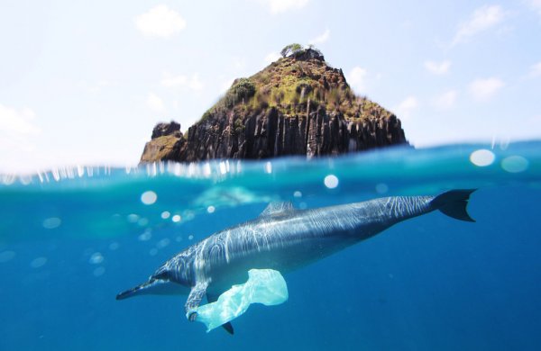 В США запустили гигантскую ловушку для пластикового мусора в океане