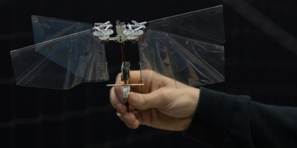 Новый робот DelFly Nimble умеет летать как насекомое