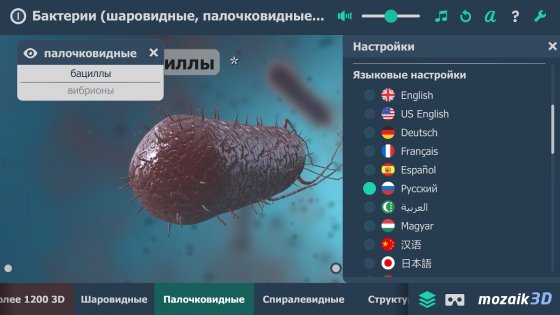 Бактерии интерактивное 3D 1.21. Скриншот 2