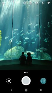 Pixel Camera 9.9.106.773153235.19. Скриншот 1