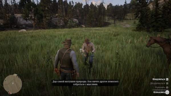 Обзор Red Dead Redemption 2. Настоящий Дикий Запад