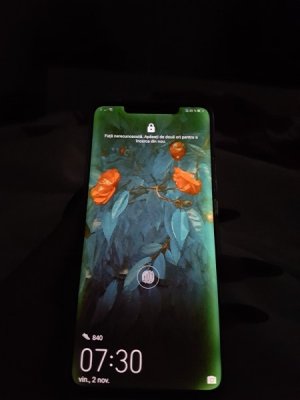 Huawei Mate 20 Pro страдает зеленым свечением