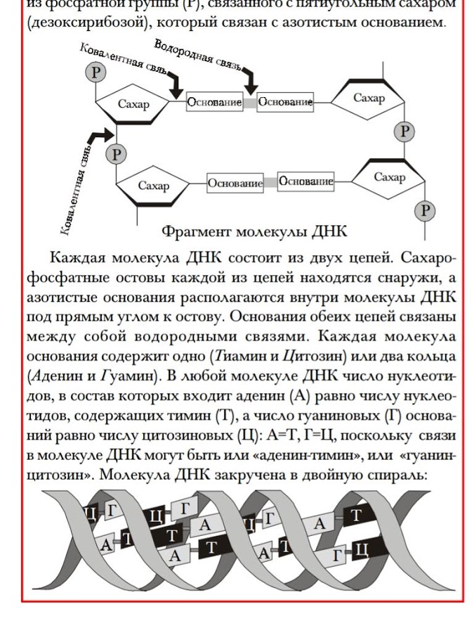 Энциклопедия эрудита 1.1. Скриншот 9