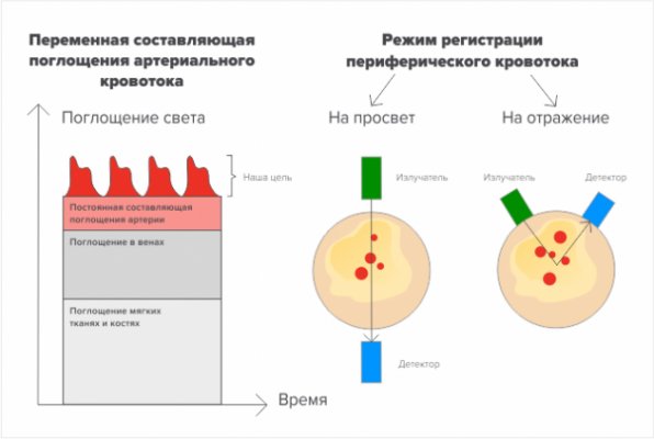 Как работает определение пульса в носимых устройствах