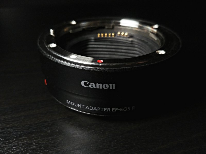 По Прибалтике с Canon EOS R. Полевое тестирование новой системы