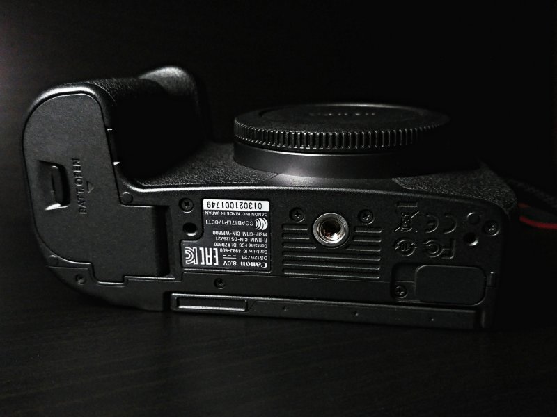 По Прибалтике с Canon EOS R. Полевое тестирование новой системы