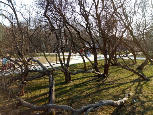 Обзор Alcatel 1X 2019: NFC в каждый дом