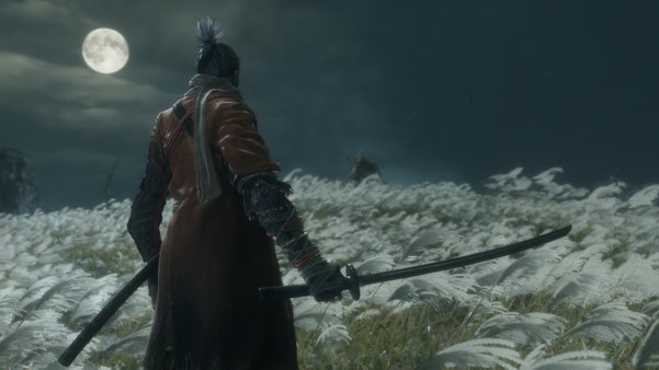 Обзор Sekiro: Shadows Die Twice. Сложнее, чем Dark Souls