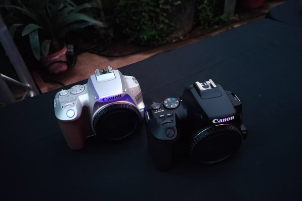 Canon Spring 2019: все весенние новинки бренда