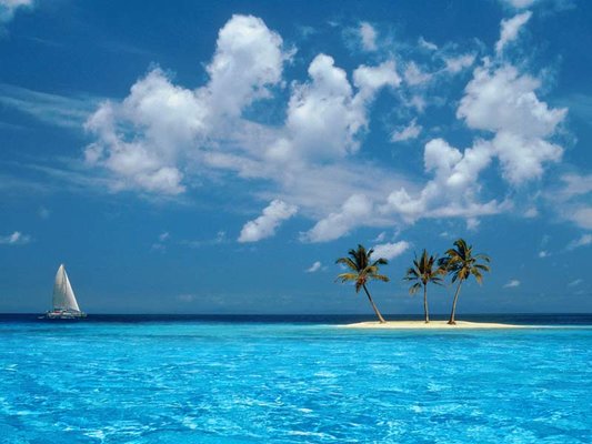Скачайте ностальгические обои из Windows XP, Android 3 и других старых популярных ОС