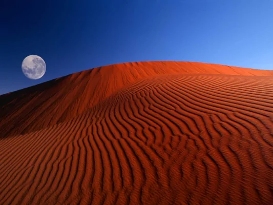 Скачайте ностальгические обои из Windows XP, Android 3 и других старых популярных ОС