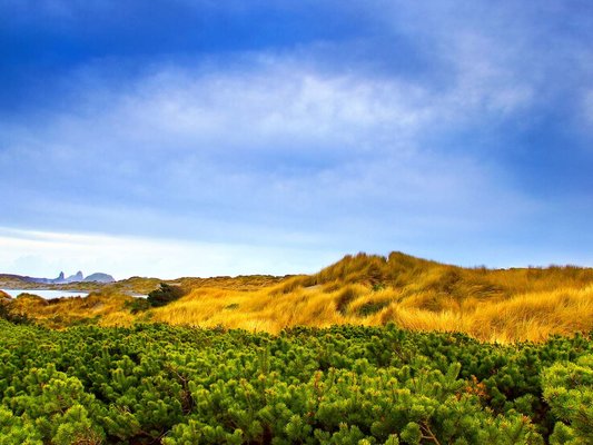 Скачайте ностальгические обои из Windows XP, Android 3 и других старых популярных ОС