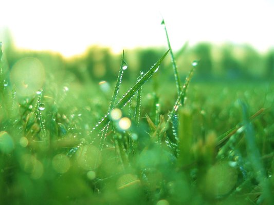 Скачайте ностальгические обои из Windows XP, Android 3 и других старых популярных ОС