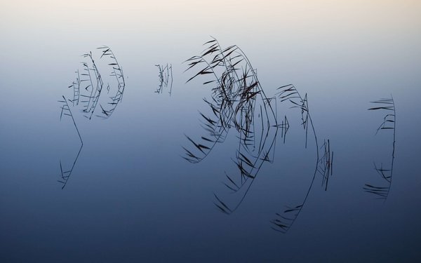 Скачайте ностальгические обои из Windows XP, Android 3 и других старых популярных ОС